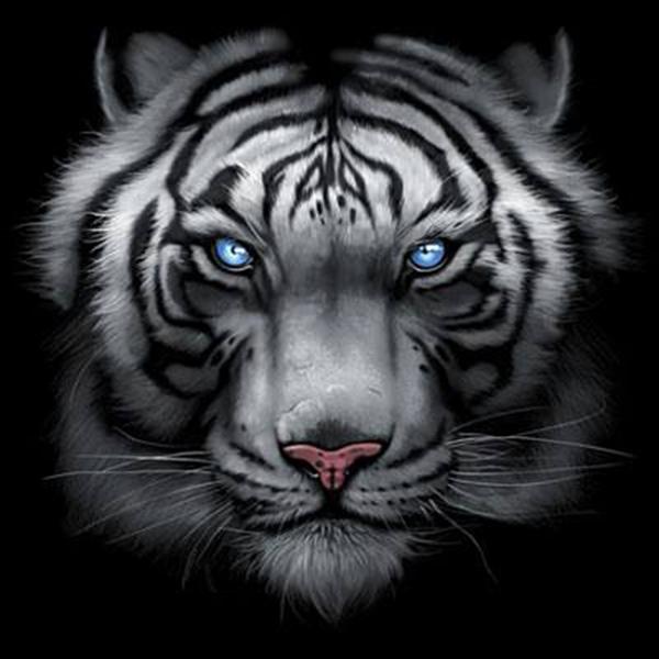 Badass Jewelry Majestic White Tiger Men's Black T-shirt