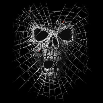 Badass Jewelry Spider Web Skull Ladies' White T-shirt